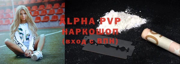 амф Гусиноозёрск