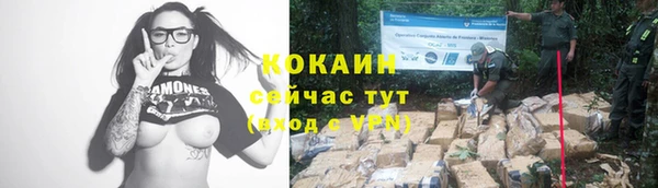 амф Гусиноозёрск