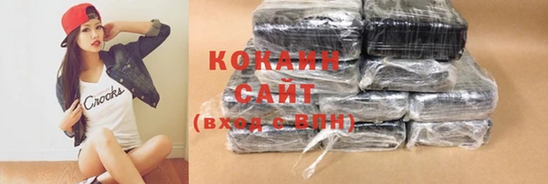 амф Гусиноозёрск