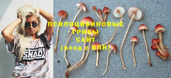 амф Гусиноозёрск