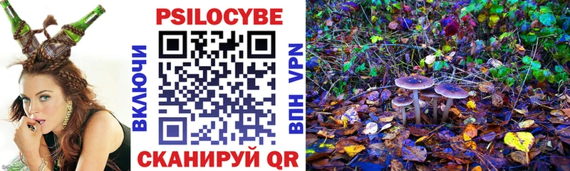 Псилоцибиновые грибы GOLDEN TEACHER Первомайск